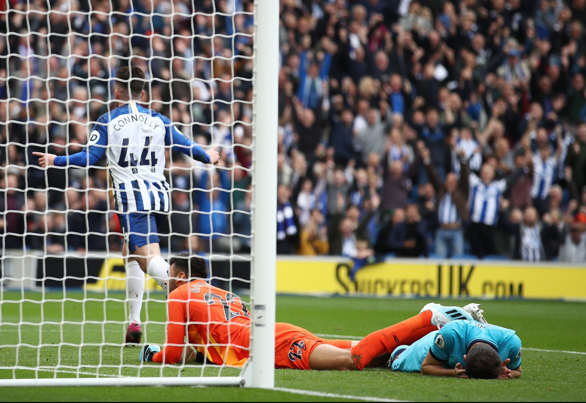 每年流行的 每年流行的